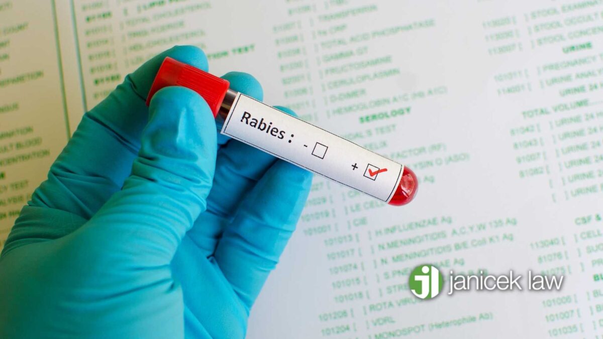 Rabies Infection Compensation Texas