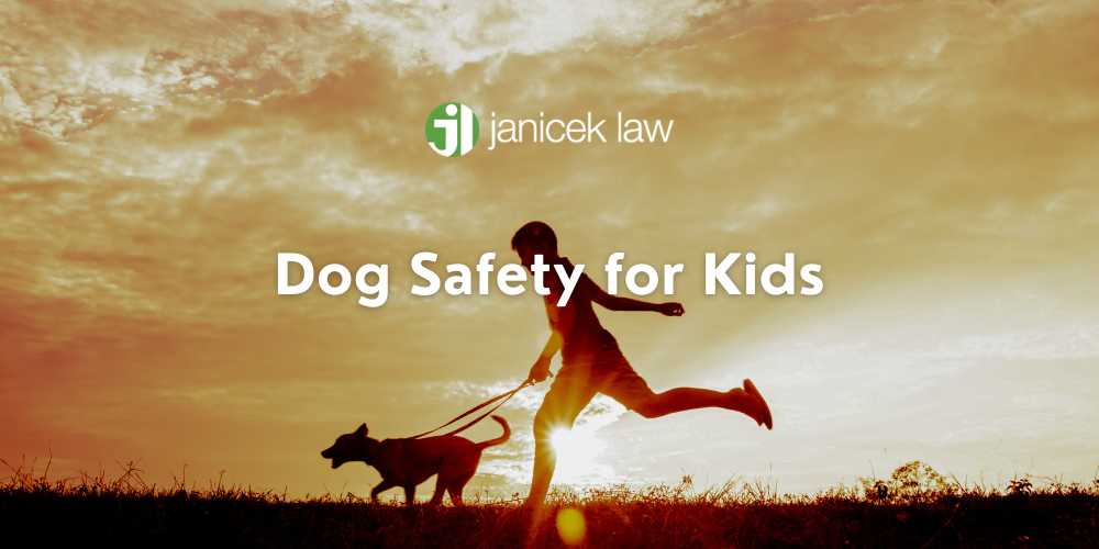 seguridad del perro para niños
